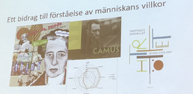*förståelse